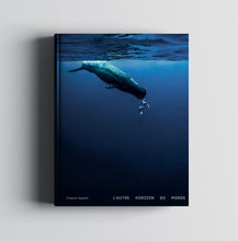 L'autre horizon du monde